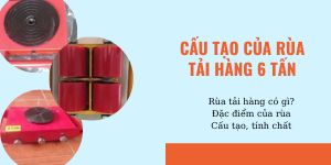Mặt trên và mặt dưới của rùa tải 6 tấn
